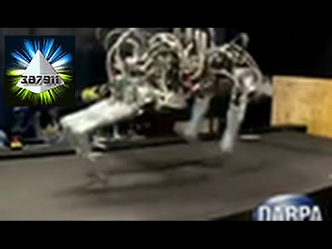 DARPA Cheetah Robot Sets World Speed Record Running Full Speed - Boston Dynamics Robots