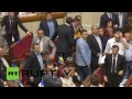 Rada brawl video: Ukraine parliament fistfight breaks out again klip izle