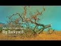 Big Backyard Video preview