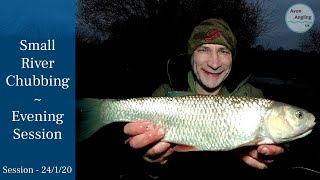 Small River Chub Fishing - Evening Session Into Dark - 24/1/20 (Video 141)