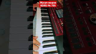 Жусуп Мырза Korg Pa 700