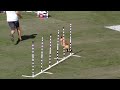 agility