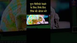 Samsung Smart Tv