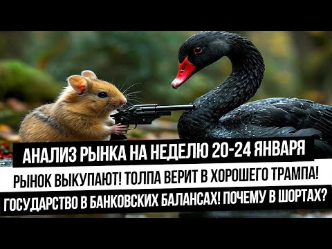 Анализ рынка на неделю 20-24 января. Почему не жду рост рынка? Бычья ловушка! Газ и нефть упадут?