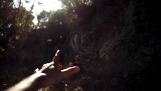 Watch Radical Face Voyage Of The Mimi video