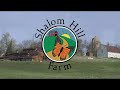 Prairie Yard & Garden: Daylilies