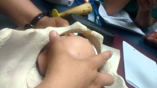 Semiología 3