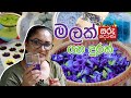 Saru Derana Episode 21