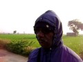 Paddy fields between Hooloor and Utthanoor in Bellary District.