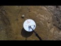 garett fisher minelab