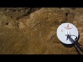 garett fisher minelab