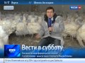 Браслет Шамбала своими руками (мастер-класс) Аля Ашмарина Весь HandMade на одном сайте