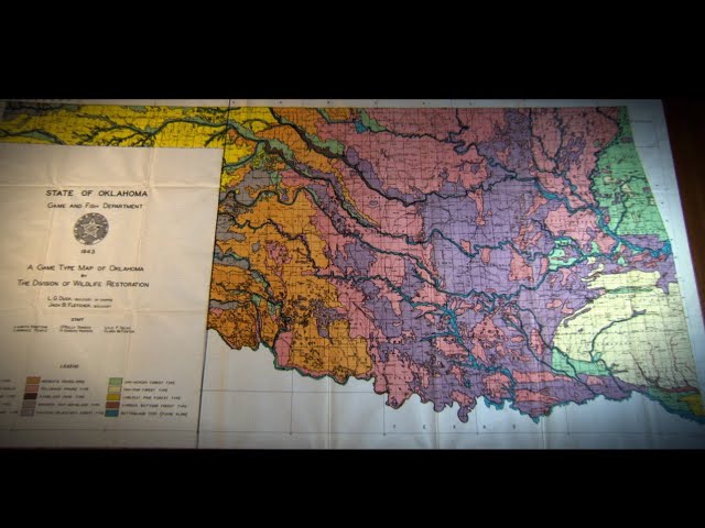 Watch The Duck and Fletcher Story on YouTube.