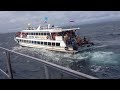 ship runs aground