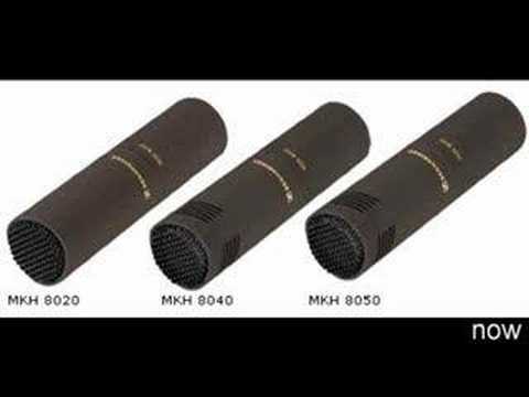 Neumann KM 184 versus Sennheiser MKH 8040