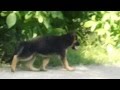 Движения, возраст 2 месяца