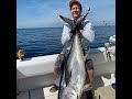 139 Bigeye tuna caught, June 2020, Chincoteague Va, Washington canyon offshore fishing