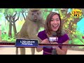 Sexy UNCENSORED News Reporter 2018 | Wrong TV 2 Sexy UNCENSORED News Reporter 2018 | Wrong TV 2