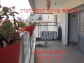 יד 2