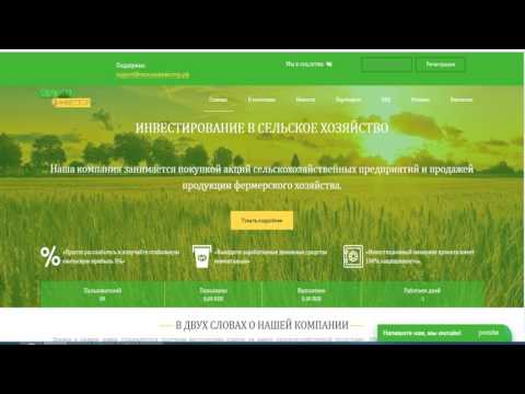 WebSurf - Легкий заработок Push-Active Метод заработка от Дениса Уварова