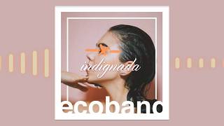 Ecoband - Indignada Feat. David Kano