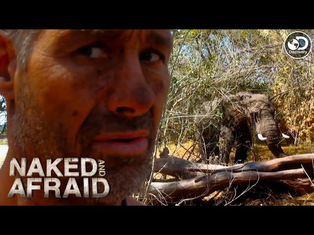 Watch Naked And Afraid Online Free