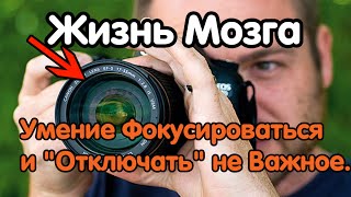Жизнь мозга: Умение Фокусироваться и "Отключать" не Важное. Практики, мозг, успех.