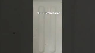 136 - Screamshot