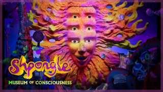 Watch Shpongle Brain In A Fish Tank video