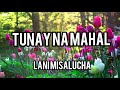 TUNAY NA MAHAL/ full music with lyrics/ by Lani Mesalucha