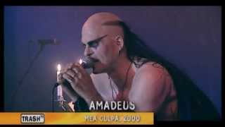 Watch Umbra Et Imago Rock Me Amadeus video