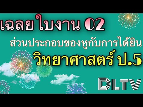 เฉลยใบงานวิทยาศาสตร์ ใบงาน 02 ส่วนประกอบของหูกับการได้ยินเสียง. ป.5