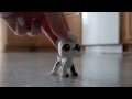 LPS: The Box Escape Adventure!