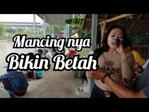 Dangdut saweran hibur mancing mania. Biduan waw
