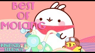 Best of Molang | Best Clips Compilation #1 | Molang and Piu Piu