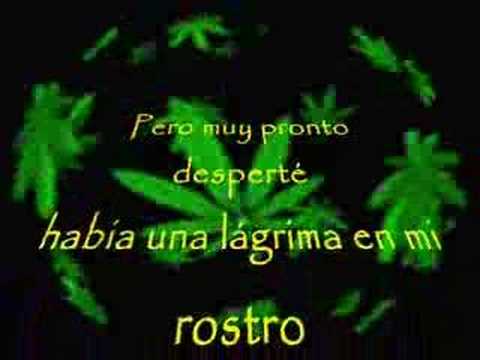 LETRA POLVO EN EL VIENTO MAGO DE letra polvo en el viento mago de: