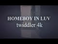 Homeboy In Luv - Twiddler 4k