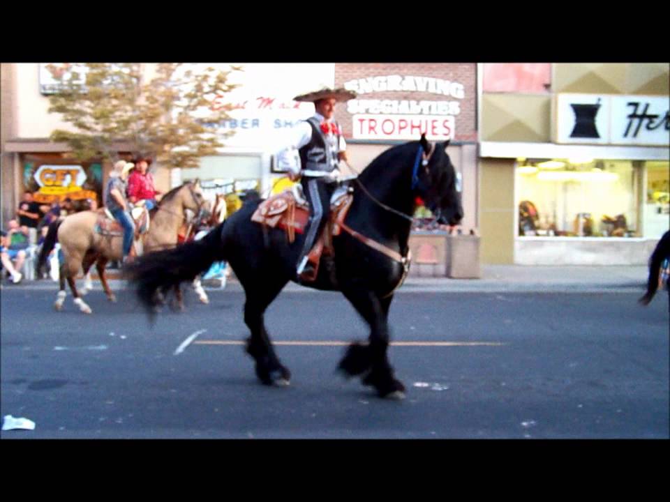 Mexican Dancing Horse @ Hermiston, Oregon August 6, 2011 youtube.wmv - YouTube
