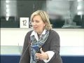2010 01 19 - Ha jogi garanciák hiányoznak, EP képviselők példaként említik a Magyarországot