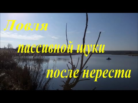 рыбалка до нереста и после нереста рыбалка до нереста и после нереста