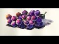 Foundation Course in Watercolor 7 - Grapes  基礎水彩示範 - 葡萄