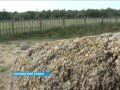 В Учалинском районе возле села Ахуново вновь наблюдались аномальные явления