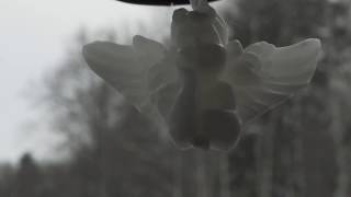 Guardian Angel Car Freshener