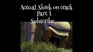 The Actual Shrek On Crack 1