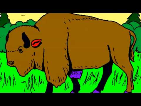 Found Blind Video