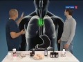 Видео Рубрика "Химия тела" (телеканал Россия 1). Омега жирные кислоты
