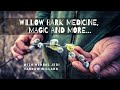 Willow Bark Medicine, Magic and More...