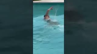 Shalsi Zhvishet Si Politikan, Hidhet Në Pishinë
