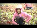 ชีวิตจริงยิ่งกว่าละคร ตอน '' แ