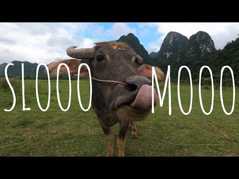 #6 Cách quay slowmotion trên gopro 8(7)!!!